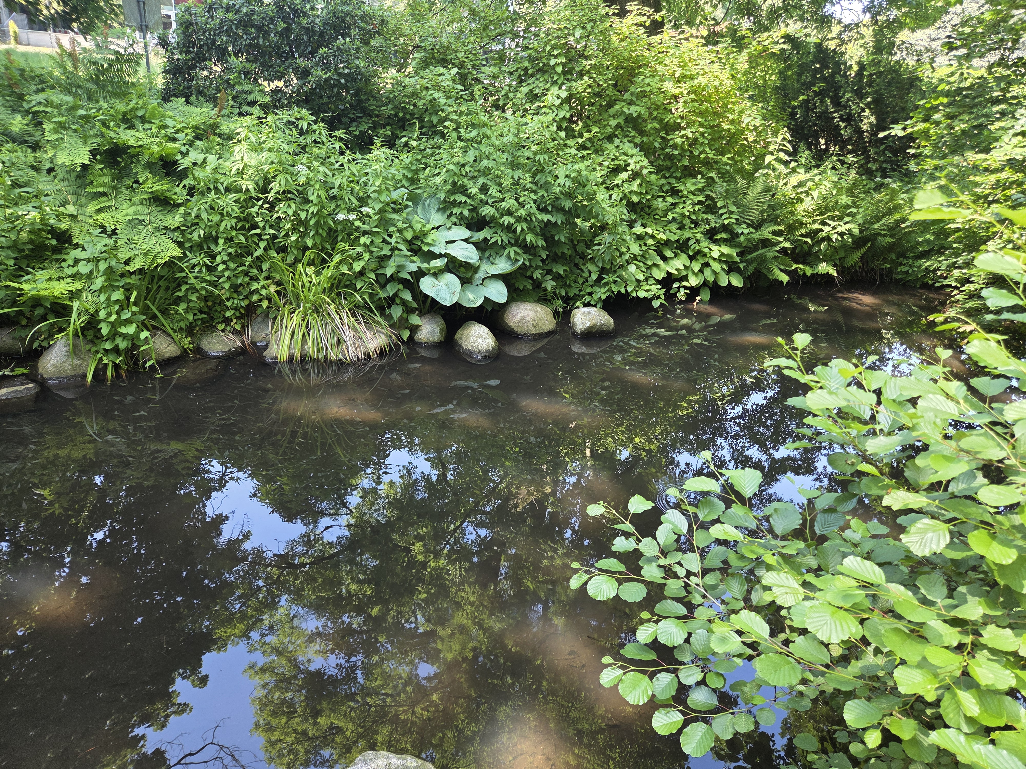 Fließendes Wasser zwischen Steinen